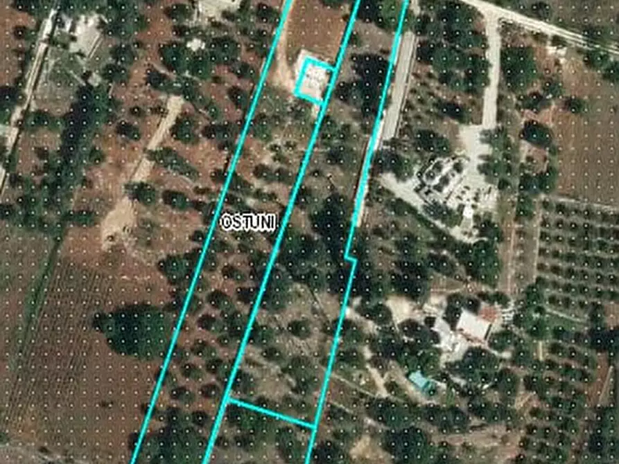 Immagine 19 di Villa in vendita  in C.da Pascarosa a Ostuni