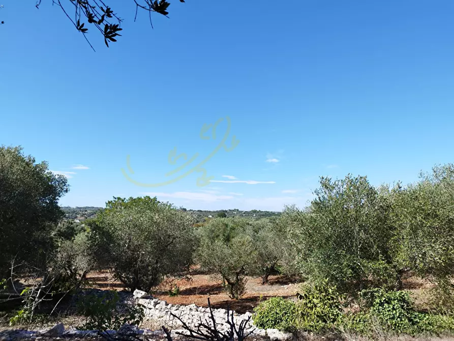 Immagine 18 di Villa in vendita  in C.da Pascarosa a Ostuni