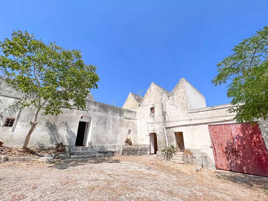 Immagine 3 di Rustico / casale in vendita  in C.da Cervarulo a Monopoli