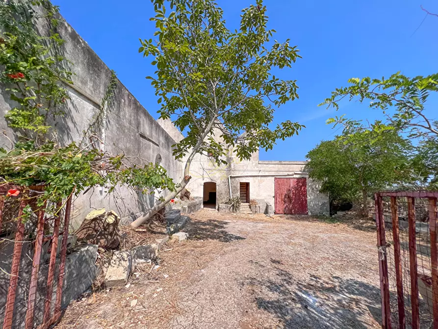 Immagine 4 di Rustico / casale in vendita  in C.da Cervarulo a Monopoli