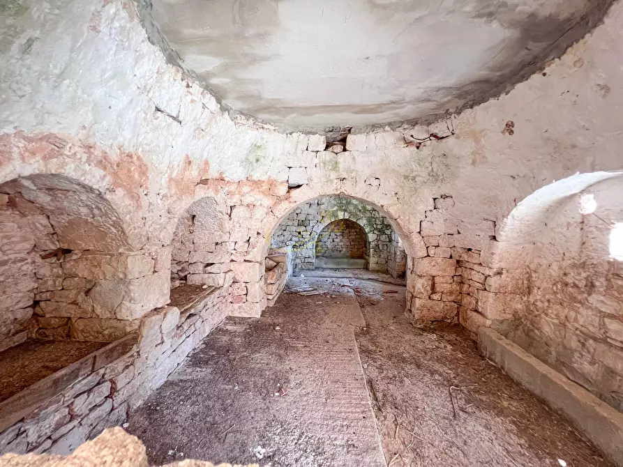 Immagine 8 di Rustico / casale in vendita  in C.da Cervarulo a Monopoli