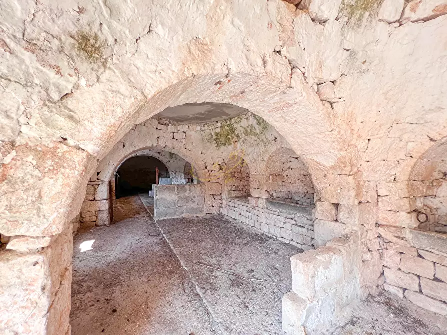 Immagine 9 di Rustico / casale in vendita  in C.da Cervarulo a Monopoli