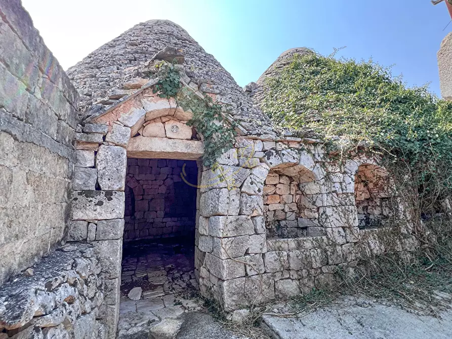 Immagine 12 di Rustico / casale in vendita  in C.da Cervarulo a Monopoli