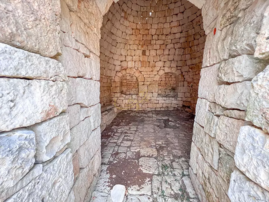 Immagine 13 di Rustico / casale in vendita  in C.da Cervarulo a Monopoli