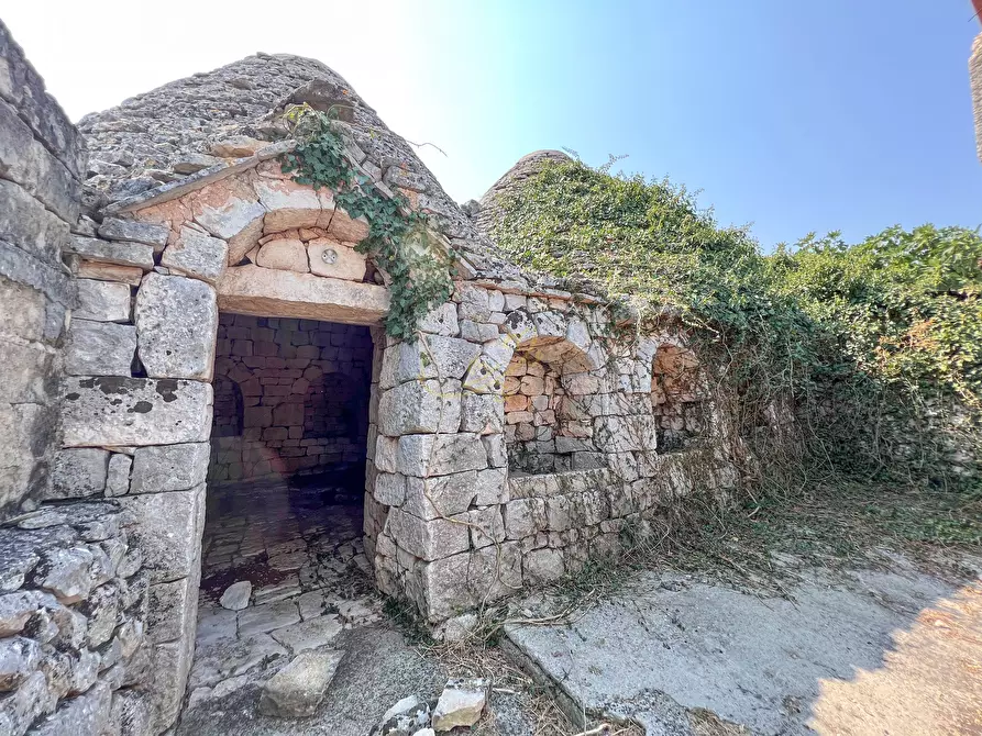 Immagine 15 di Rustico / casale in vendita  in C.da Cervarulo a Monopoli