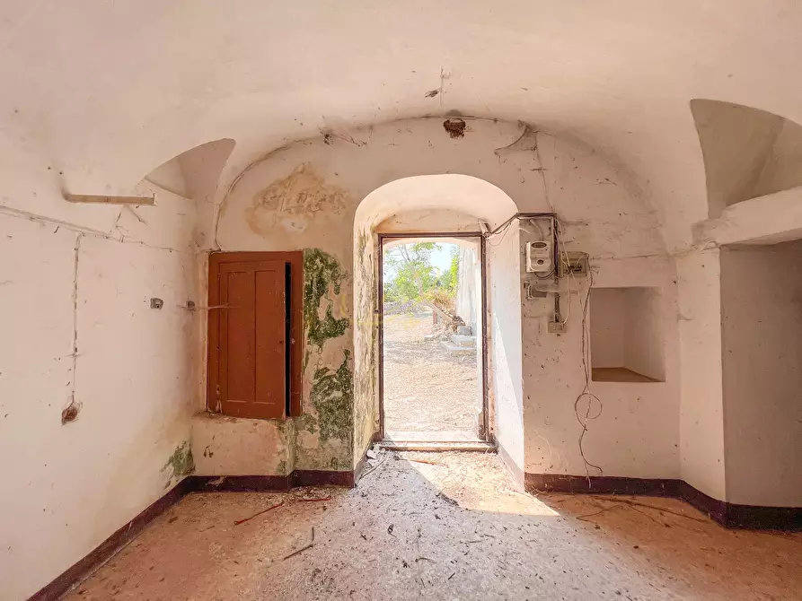 Immagine 20 di Rustico / casale in vendita  in C.da Cervarulo a Monopoli