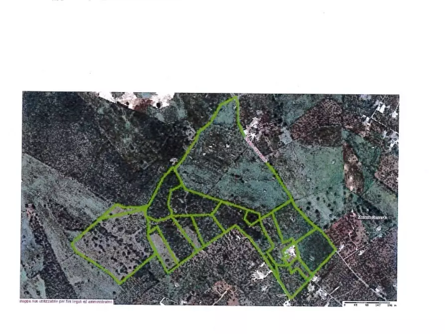 Immagine 23 di Rustico / casale in vendita  in C.da Cervarulo a Monopoli