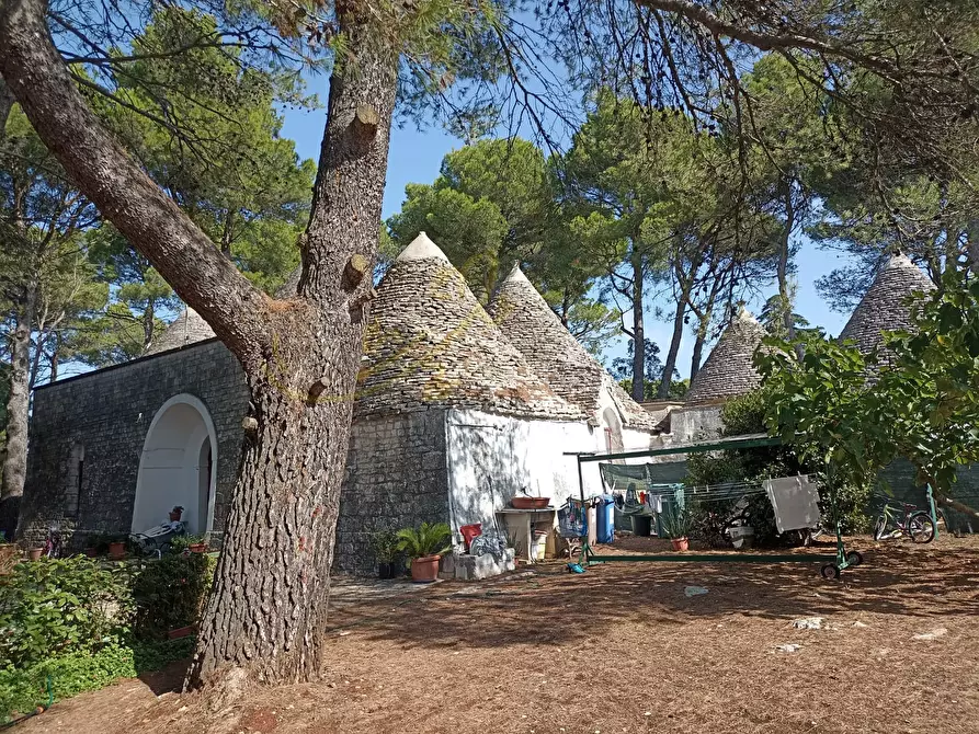 Immagine 16 di Baita in vendita  in Via Toledo a Fasano