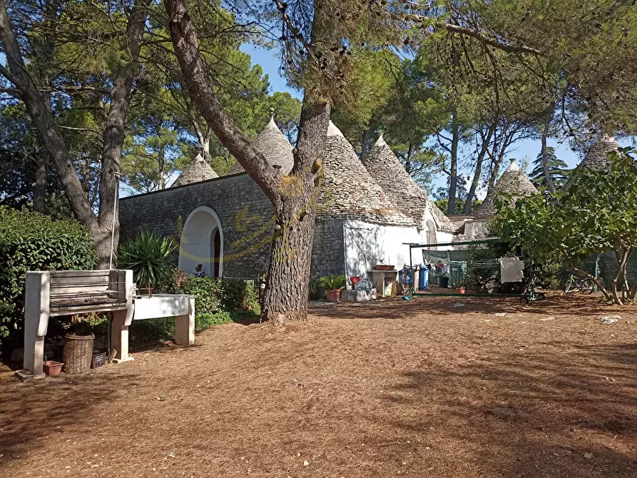 Immagine 17 di Baita in vendita  in Via Toledo a Fasano