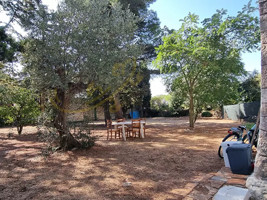 Immagine 26 di Baita in vendita  in Via Toledo a Fasano