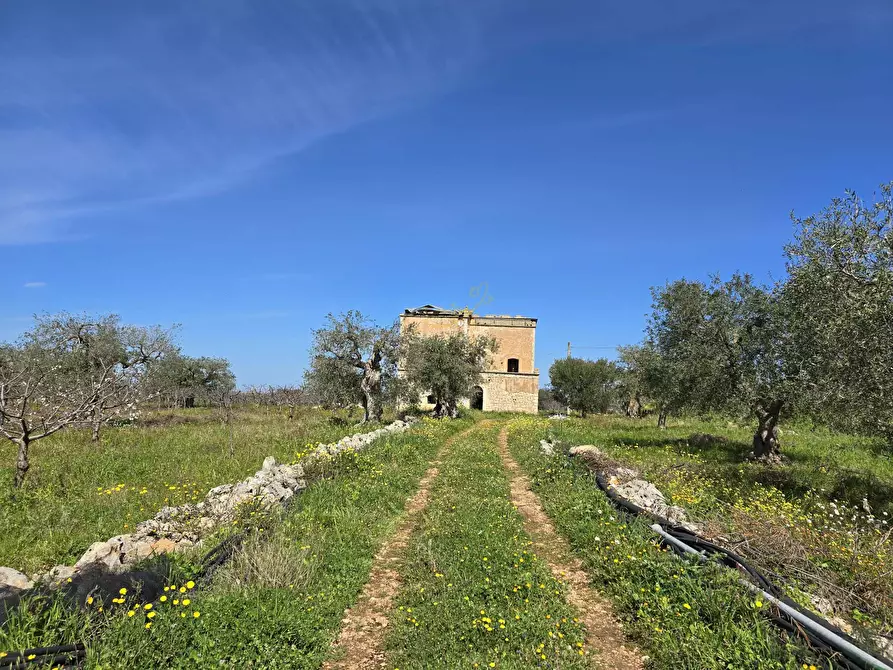 Immagine 21 di Rustico / casale in vendita  in Contrada Gorgorenzo a Conversano
