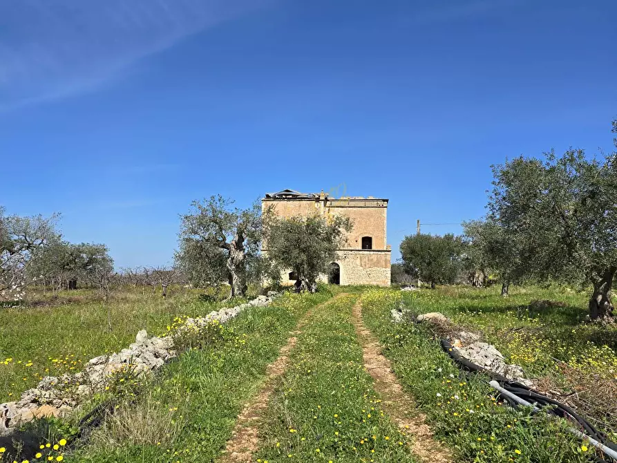 Immagine 22 di Rustico / casale in vendita  in Contrada Gorgorenzo a Conversano