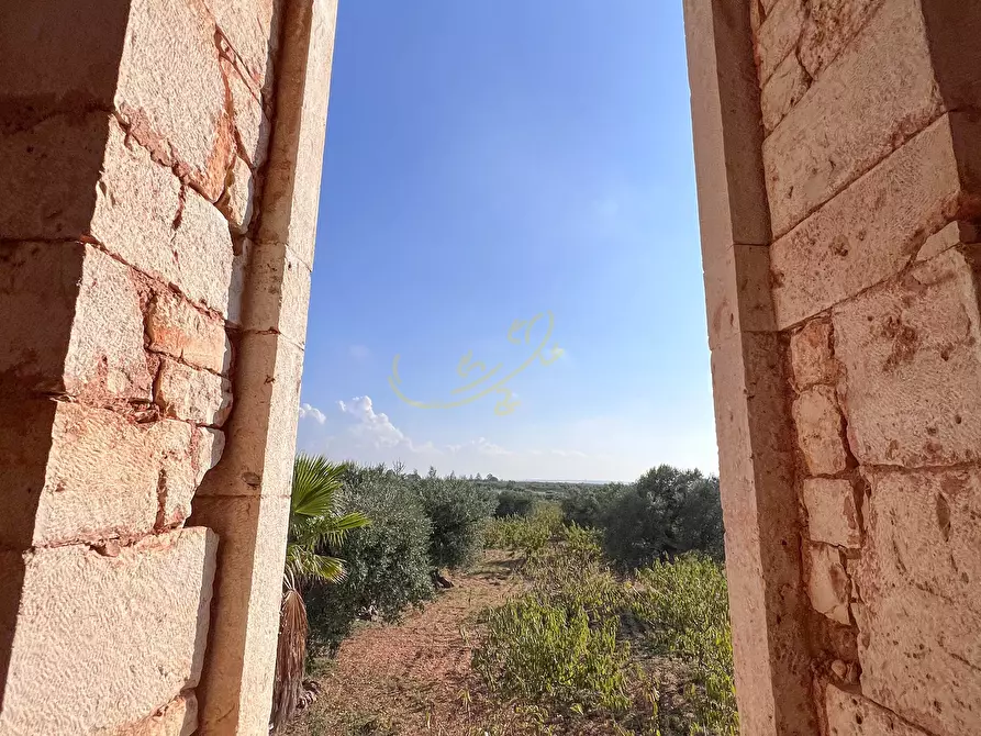 Immagine 40 di Rustico / casale in vendita  in Contrada Gorgorenzo a Conversano