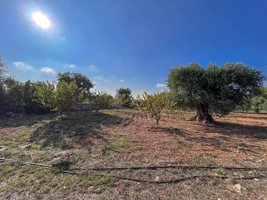 Immagine 49 di Rustico / casale in vendita  in Contrada Gorgorenzo a Conversano
