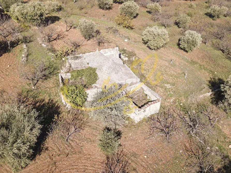 Immagine 4 di Baita in vendita  in Contrada Virbo a Monopoli