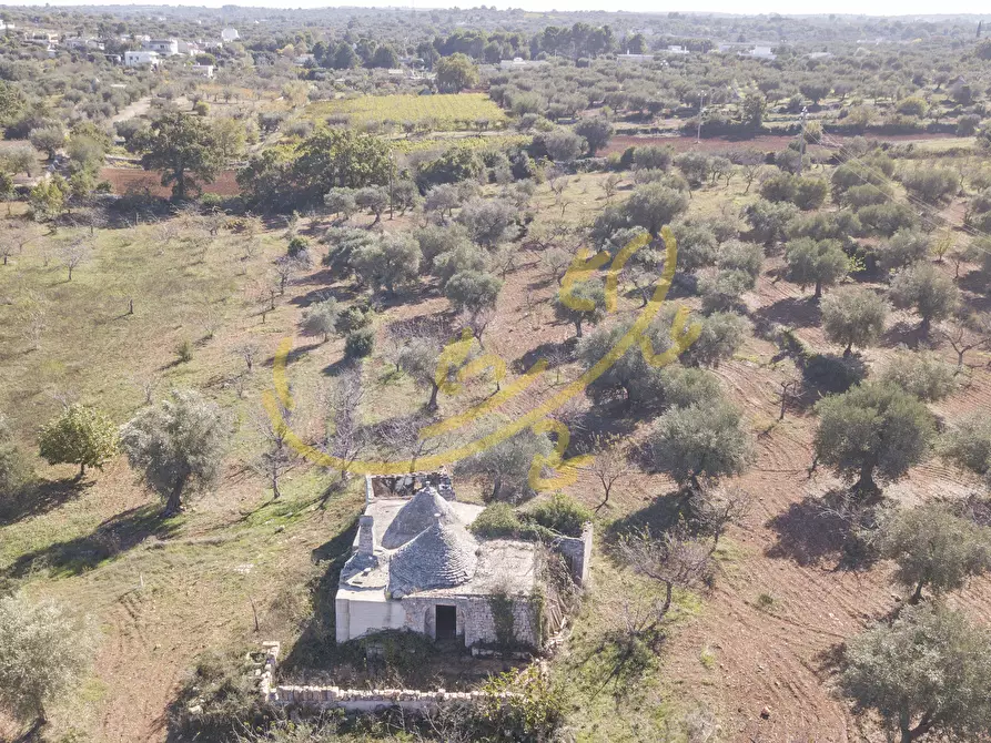 Immagine 5 di Baita in vendita  in Contrada Virbo a Monopoli