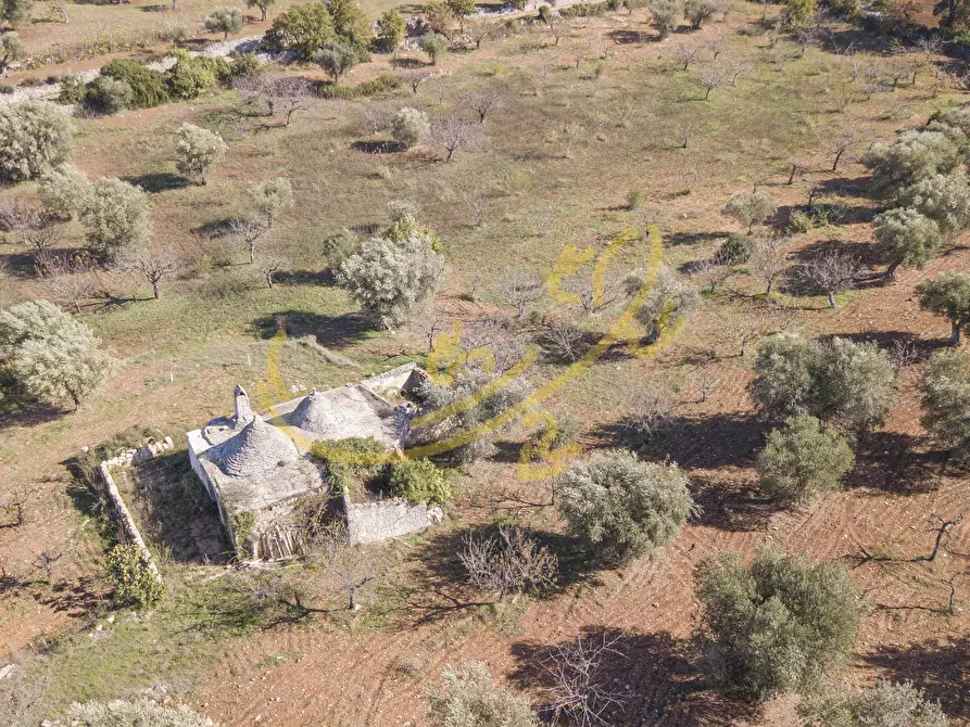 Immagine 6 di Baita in vendita  in Contrada Virbo a Monopoli