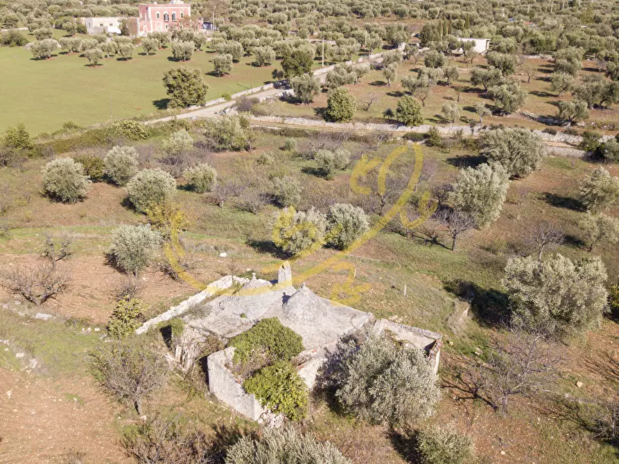 Immagine 9 di Baita in vendita  in Contrada Virbo a Monopoli