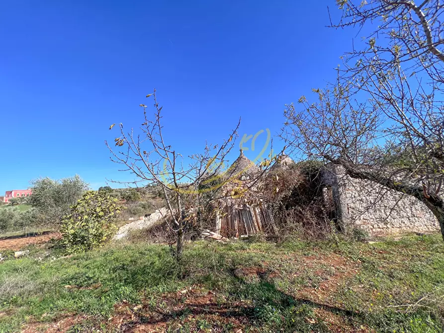 Immagine 11 di Baita in vendita  in Contrada Virbo a Monopoli