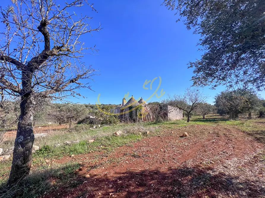 Immagine 17 di Baita in vendita  in Contrada Virbo a Monopoli