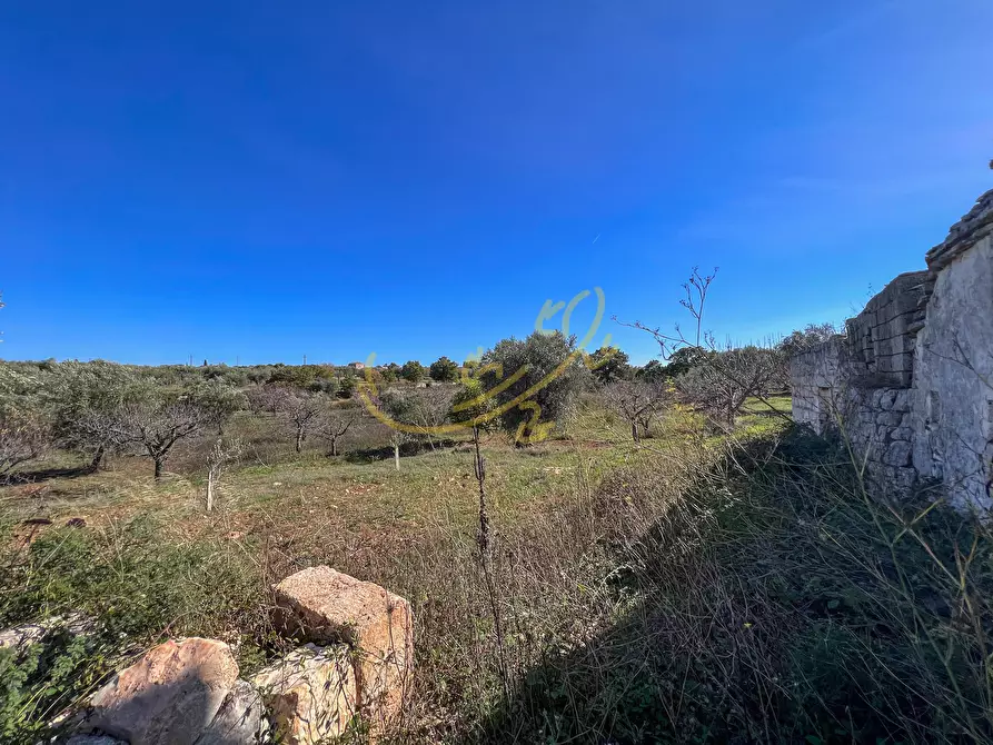 Immagine 19 di Baita in vendita  in Contrada Virbo a Monopoli