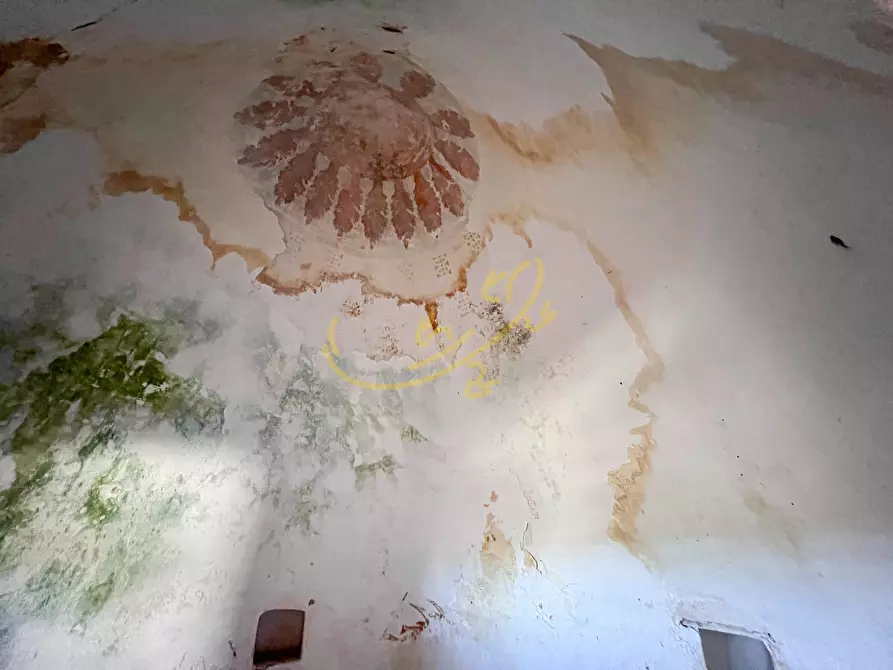 Immagine 22 di Baita in vendita  in Contrada Virbo a Monopoli