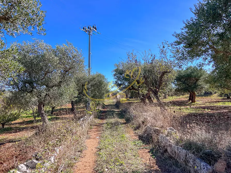 Immagine 25 di Baita in vendita  in Contrada Virbo a Monopoli