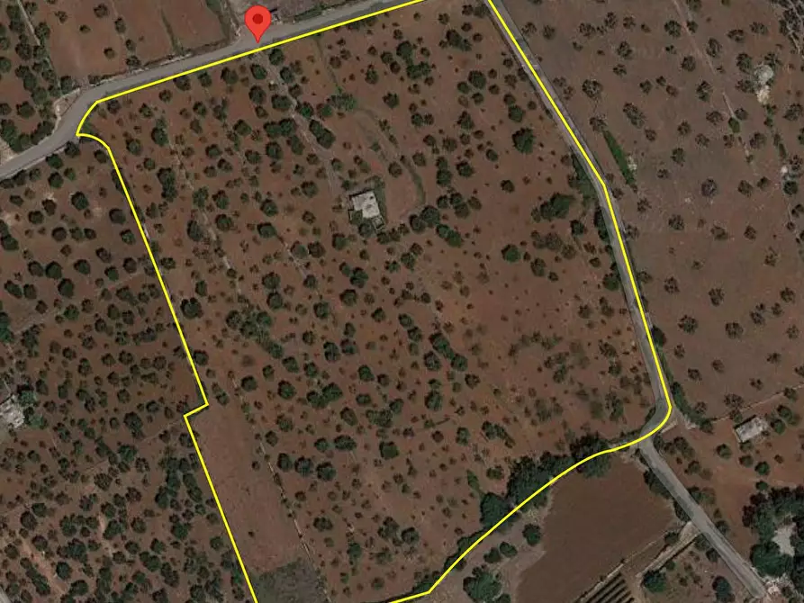 Immagine 27 di Baita in vendita  in Contrada Virbo a Monopoli