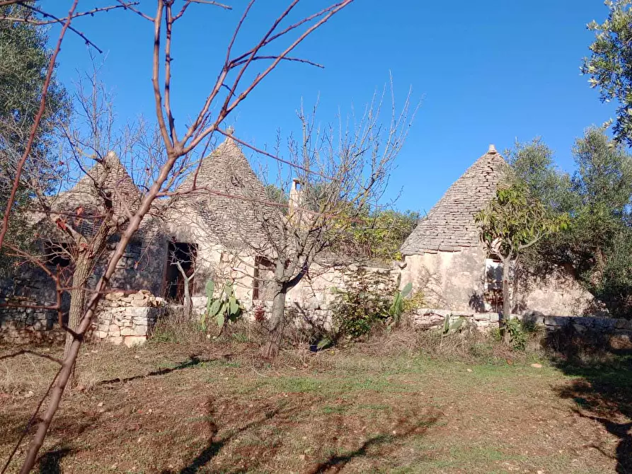 Immagine 1 di Baita in vendita  in Contrada Fanelli a Castellana Grotte