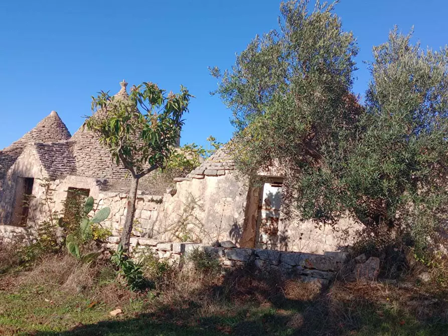 Immagine 5 di Baita in vendita  in Contrada Fanelli a Castellana Grotte