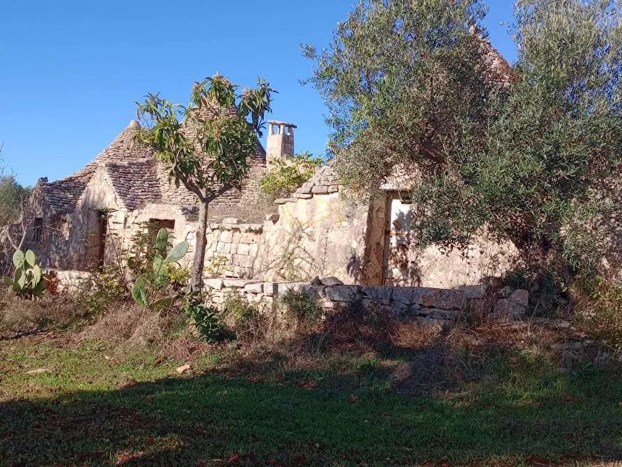 Immagine 6 di Baita in vendita  in Contrada Fanelli a Castellana Grotte