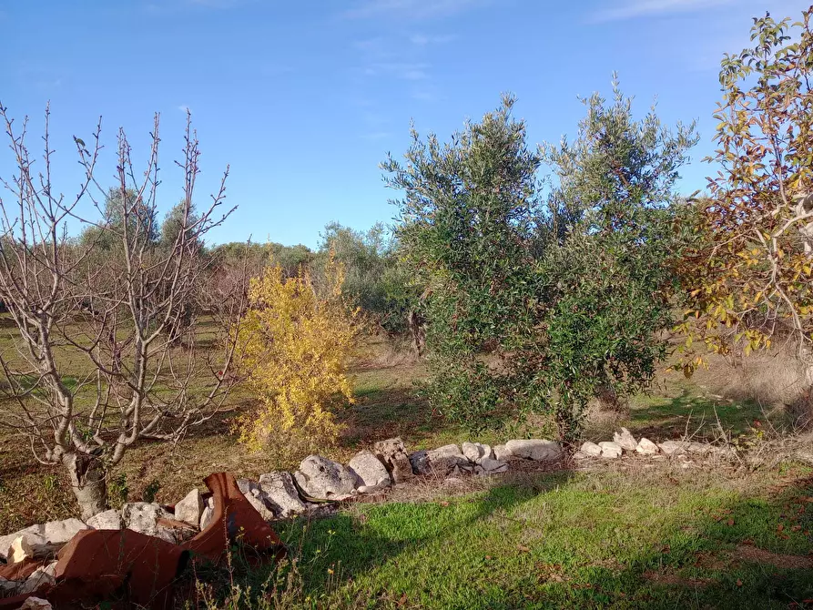 Immagine 8 di Baita in vendita  in Contrada Fanelli a Castellana Grotte