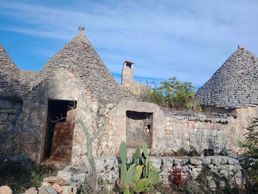 Immagine 12 di Baita in vendita  in Contrada Fanelli a Castellana Grotte