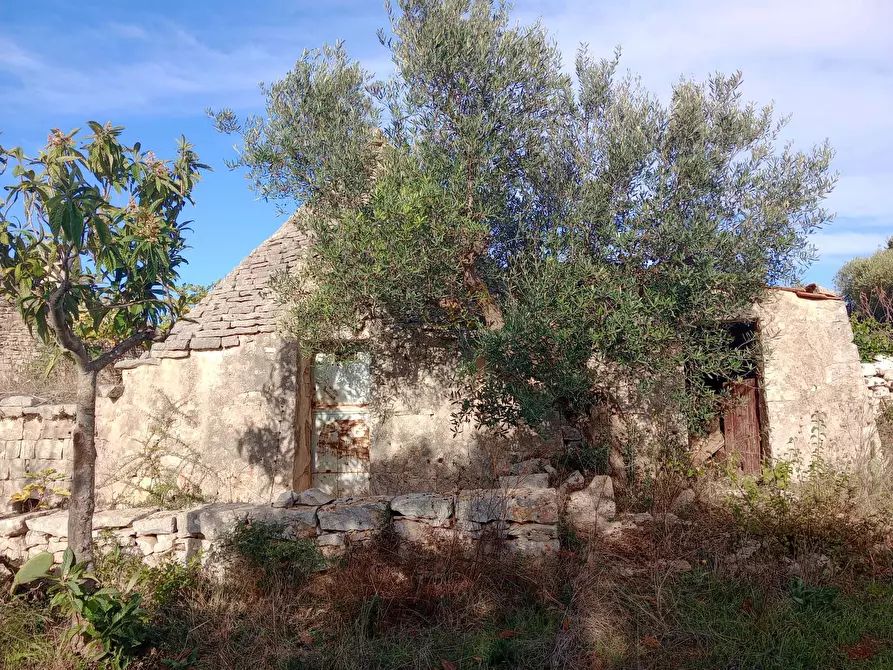 Immagine 18 di Baita in vendita  in Contrada Fanelli a Castellana Grotte