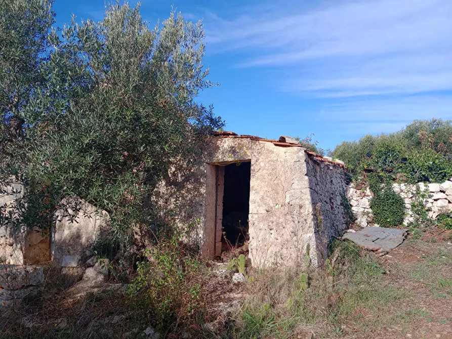Immagine 17 di Baita in vendita  in Contrada Fanelli a Castellana Grotte