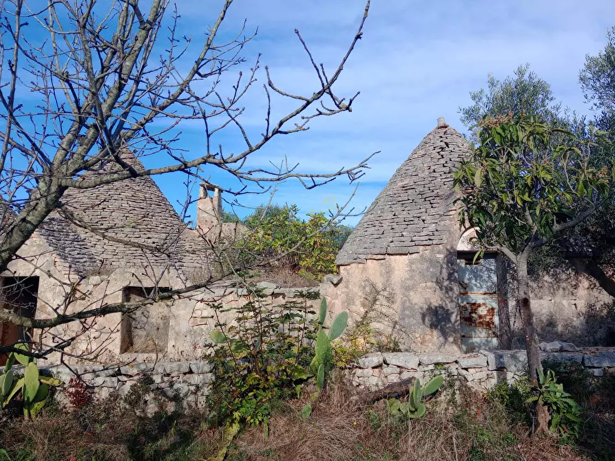 Immagine 19 di Baita in vendita  in Contrada Fanelli a Castellana Grotte