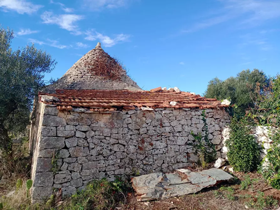 Immagine 20 di Baita in vendita  in Contrada Fanelli a Castellana Grotte
