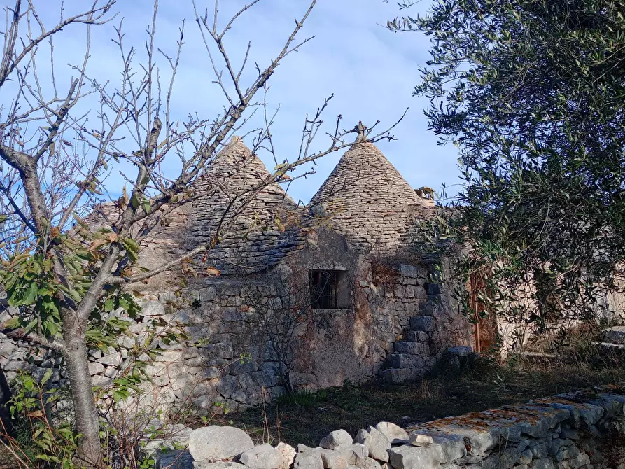 Immagine 21 di Baita in vendita  in Contrada Fanelli a Castellana Grotte