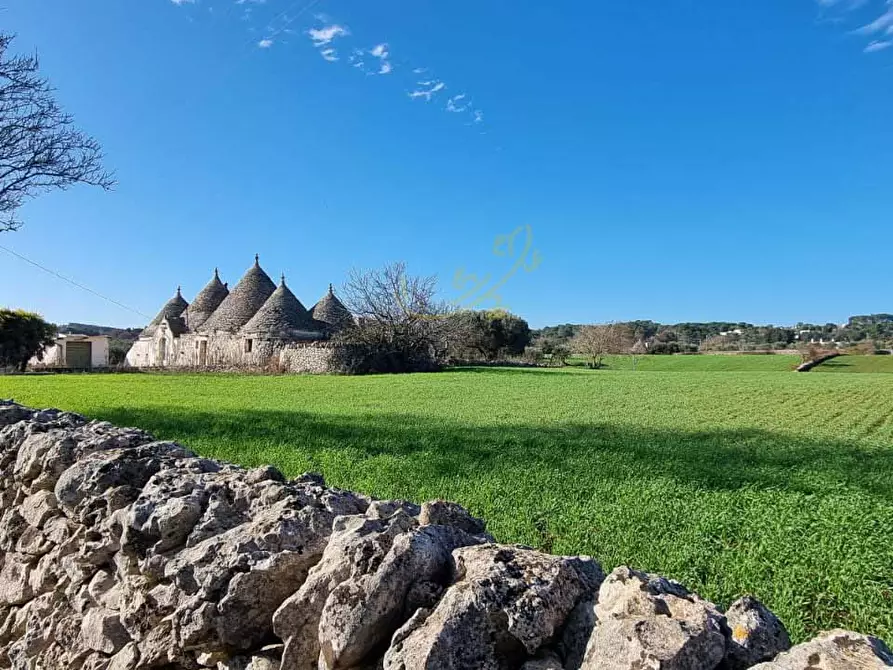 Immagine 4 di Baita in vendita  in Strada Padula Cappa a Martina Franca