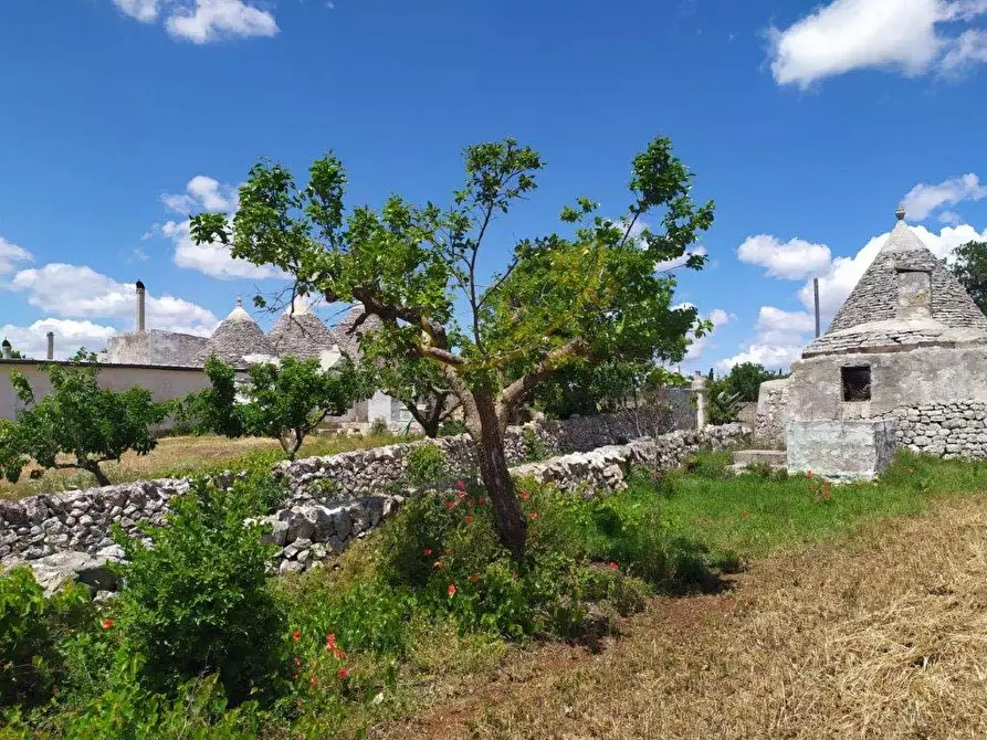 Immagine 11 di Baita in vendita  in Strada Padula Cappa a Martina Franca