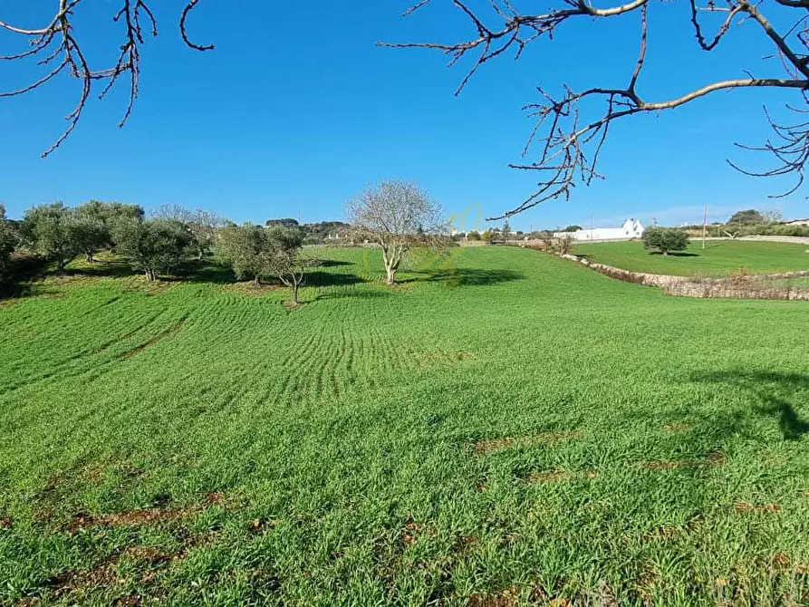 Immagine 16 di Baita in vendita  in Strada Padula Cappa a Martina Franca