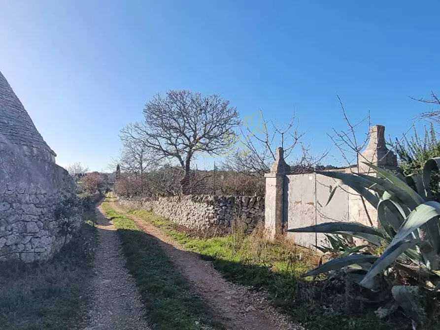 Immagine 13 di Baita in vendita  in Strada Padula Cappa a Martina Franca