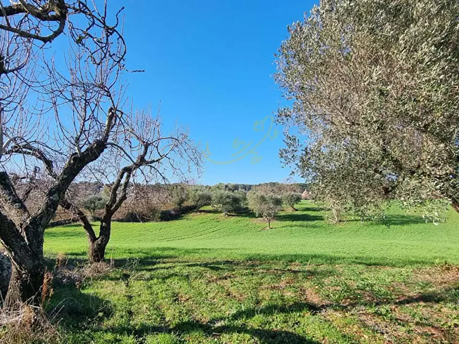 Immagine 15 di Baita in vendita  in Strada Padula Cappa a Martina Franca