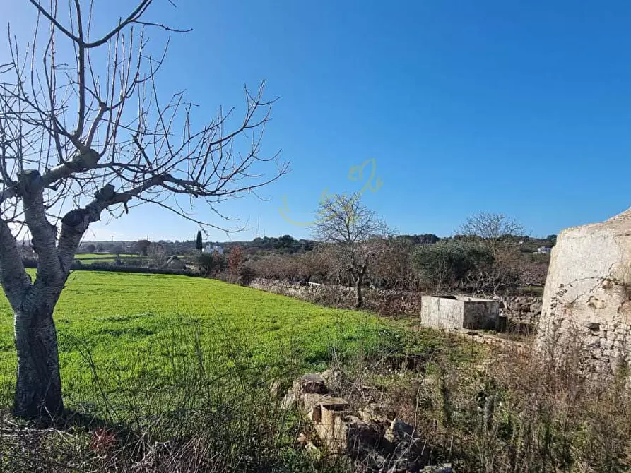 Immagine 17 di Baita in vendita  in Strada Padula Cappa a Martina Franca