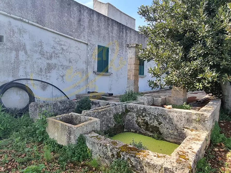 Immagine 9 di Rustico / casale in vendita  in Contrada San Martino a Polignano A Mare