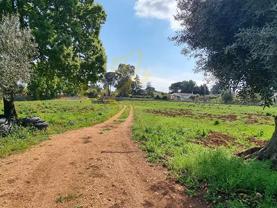 Immagine 11 di Rustico / casale in vendita  in Contrada San Martino a Polignano A Mare
