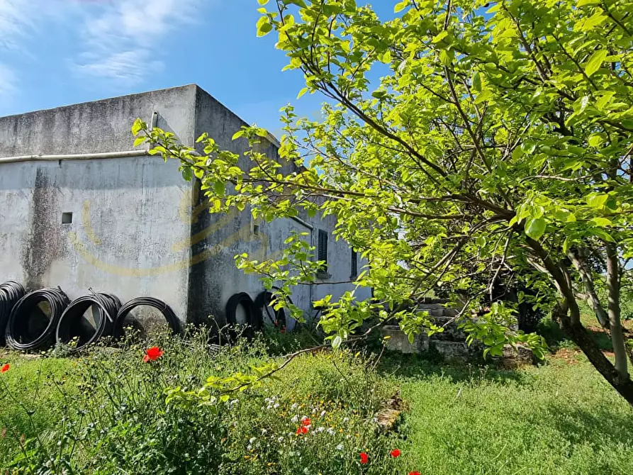Immagine 16 di Rustico / casale in vendita  in Contrada San Martino a Polignano A Mare