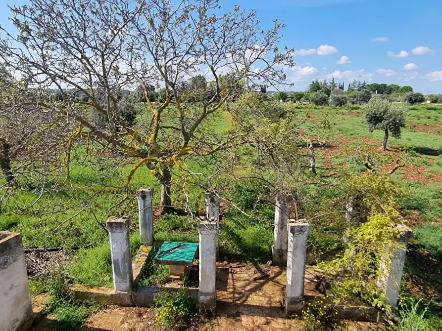 Immagine 18 di Rustico / casale in vendita  in Contrada San Martino a Polignano A Mare