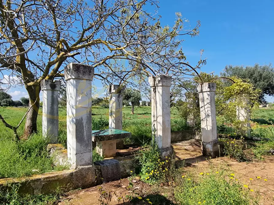Immagine 22 di Rustico / casale in vendita  in Contrada San Martino a Polignano A Mare