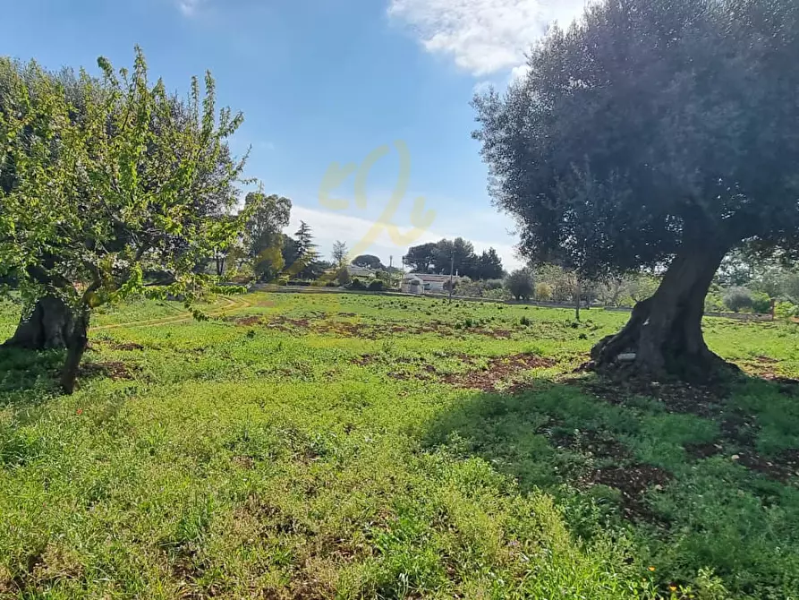 Immagine 26 di Rustico / casale in vendita  in Contrada San Martino a Polignano A Mare